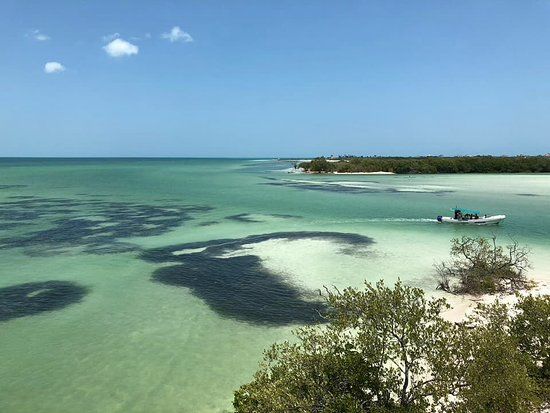 Muelle de Holbox